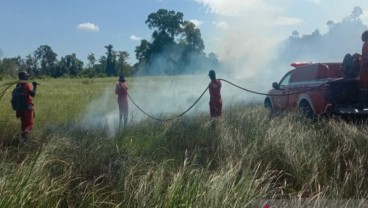 Kawasan Taman Nasional Rawa Aopa di Sulawesi Tenggara Terbakar