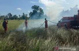 Kawasan Taman Nasional Rawa Aopa di Sulawesi Tenggara Terbakar