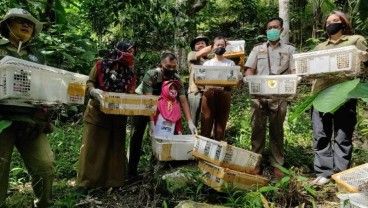 Petugas Gagalkan Aksi Penyelundupan Burung, Begini Modusnya