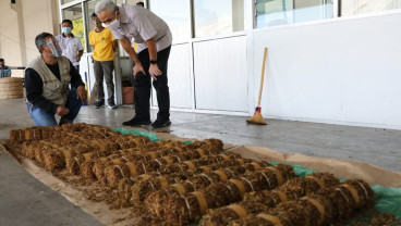 Ganjar Cek Kesanggupan Industri Serap Tembakau Petani
