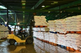 Kontak Tani Minta Tambahan Pupuk 1,4 Juta Ton Segera…