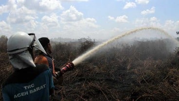 Tren Karhutla Turun, Pemerintah Ajak Semua Pihak Tetap Waspada