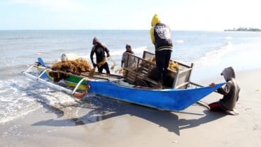 KKP Kembangkan Kemasan Plastik dari Rumput Laut