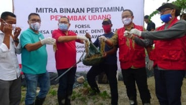 Perum Perindo & Pertamina Dukung Perikanan di Lampung, Ini Langkahnya