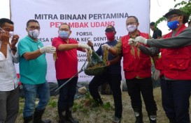 Perum Perindo & Pertamina Dukung Perikanan di Lampung, Ini Langkahnya