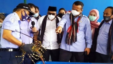 Program Maluku Lumbung Ikan Nasional Kembali Digulirkan