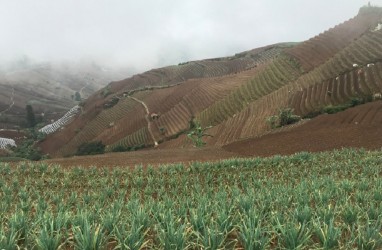 Kabupaten Majalengka Jadikan Sektor Pertanian Tameng Hadapi Ancaman Resesi