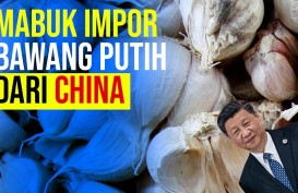 Mabuk Impor Bawang Putih dari China