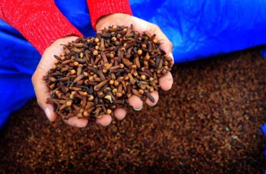 Panen Raya Cengkeh tak Terserap Pasar, Petani Buleleng Menjerit