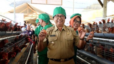 Dinas Peternakan Kab. Blitar Dorong Peternak Produksi Pakan Mandiri