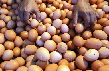 HARGA KOMODITAS : Telur Ayam Ras Jatim Terus Bergejolak