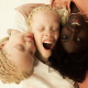 Ini Beberapa Jenis Albino