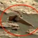 Gambar Nasa Tunjukkan Ada Tengkorak Alien Raksasa Muncul di Planet Mars?