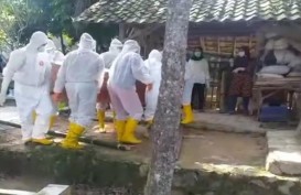 Kasus Meninggal Covid-19, 14 Provinsi Nihil Penambahan Kasus