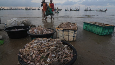 Bangka Belitung Bakal Bangun 20 Pelabuhan Perikanan pada 2021
