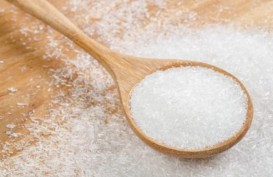 KARUT MARUT TATA NIAGA BAHAN BAKU  : Industri Micin Tak Lagi Gurih