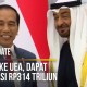 Asa Investasi dari UEA di Tengah Pandemi