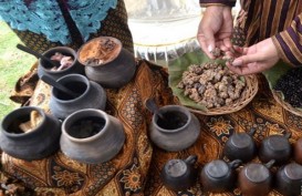Duh, Ilmuwan Peringatkan Kemungkinan Wabah Penyakit dari Luwak di Indonesia