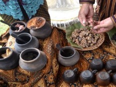 Duh, Ilmuwan Peringatkan Kemungkinan Wabah Penyakit dari Luwak di Indonesia