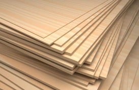 Apkindo : Plywood Indonesia Dapat Tempat Khusus di Pasar Jepang