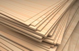 Apkindo : Plywood Indonesia Dapat Tempat Khusus di Pasar Jepang