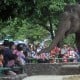 Ragunan Tutup Selama PSBB, Warganet Khawatirkan Kondisi Satwa