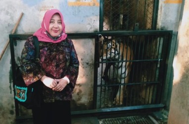 Apa Kabar Harimau Kurus di Lamongan? Ini Update dari Emil Dardak