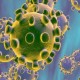 3 Mitos Penularan Virus Corona