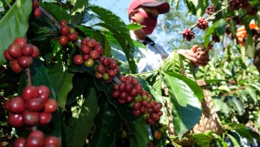 International Coffee Organization Capai Komunike Bersama Jaga Geliat Bisnis Kopi