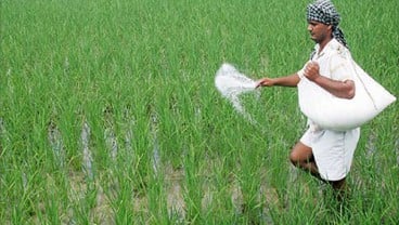 Tak Terganggu Covid-19, Agri Sumba Genjot Produksi Pupuk NPK