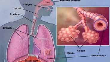 Shock Sepsis Irreversible, Penyebab Sekda DKI Saefullah Meninggal. Apakah Itu?