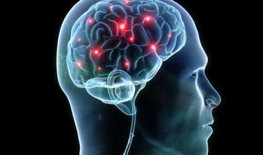 Studi: Virus Corona tidak Menyebar Secara Efisien ke Otak