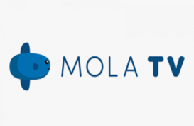 Mola TV Raih 1 Juta Pelanggan per Agustus 2020