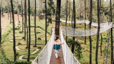 Ulang Tahun ke-3, Orchid Forest Cikole Beri Promo Tiket Beli 3 Gratis 1