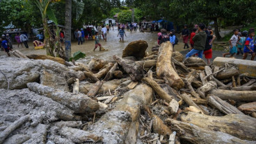 Ratusan Hektare Lahan Pertanian Terdampak Banjir Bandang Sigi
