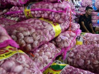 BAWANG PUTIH : Harga Naik, Impor Tertahan