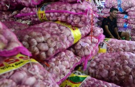 BAWANG PUTIH : Harga Naik, Impor Tertahan