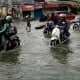 Atasi Banjir Rob di Lima Kota Pantura, Ini Upaya Kemenko Marves