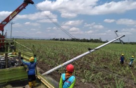 Hujan Deras dan Angin Kencang Robohkan 1.012 Gardu Trafo di Kudus