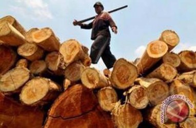 Hutan Jatim Diproyeksi Bisa Produksi Kayu 526.474 m3 Tahun Ini