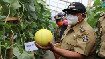 Pemkab Blitar Dorong Petani Hortikultura Adopsi Sistem Green House