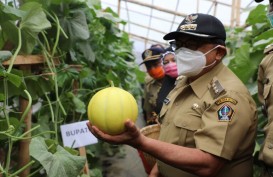 Pemkab Blitar Dorong Petani Hortikultura Adopsi Sistem Green House