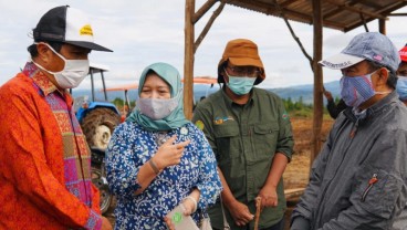 Dapat Arahan dari Menko Luhut, Lumbung Pangan di Tepi Danau Toba Dimulai