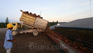 Masyarakat Adat dan Kelapa Sawit Dapat Hidup Berdampingan