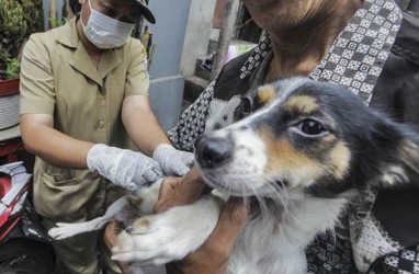 Hari Rabies, Menkes Terawan Sebut Gigitan Anjing Lebih Mematikan