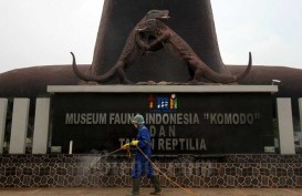 Dampak PSBB Jakarta, Seniman: TMII Sekarang Seperti Kuburan Hidup