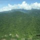 Akibat Perubahan Iklim, Hutan Tropis pun Terancam Terbakar 