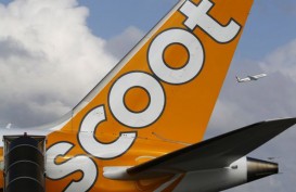Scoot Kurangi Frekuensi Terbang ke Indonesia, Kenapa?