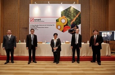 Rencana Obligasi Jumbo Belum Panaskan Saham Sinar Mas Agro (SMAR)