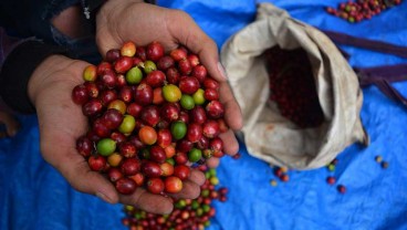 Bukan Emas, Kontrak Olein dan Kopi akan Topang Kinerja JFX hingga Akhir Tahun